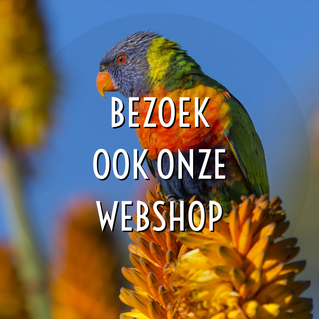 Webshop Papegaai & Zoo